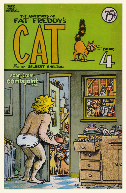 fat freddys cat 4 1st